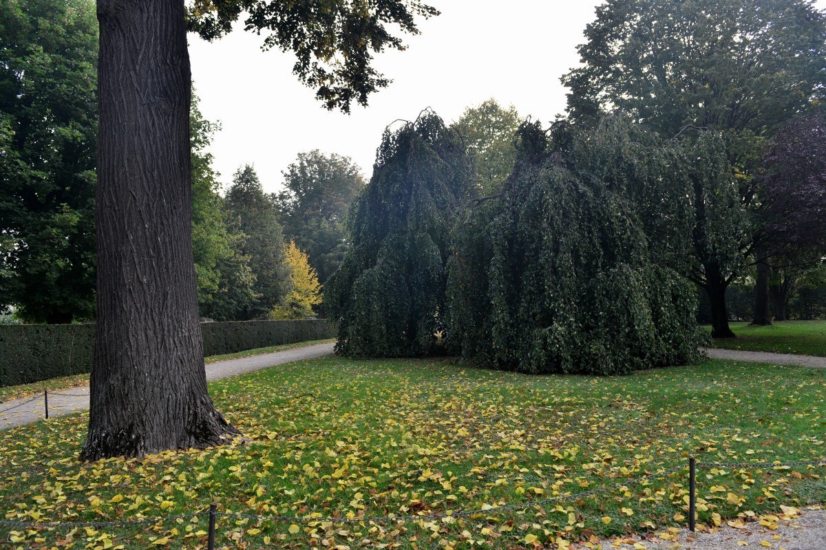 奥地利.维也纳.美泉宫（4）