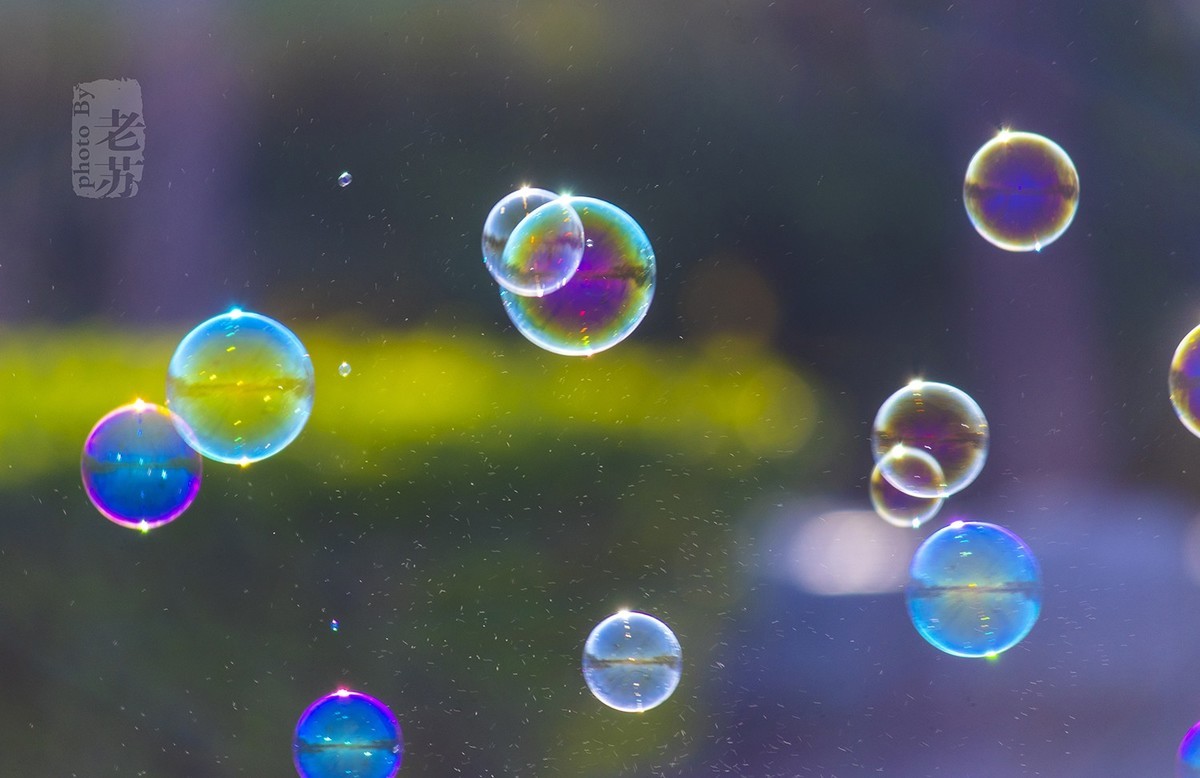 难得小憩，小景随拍--天津河东公园