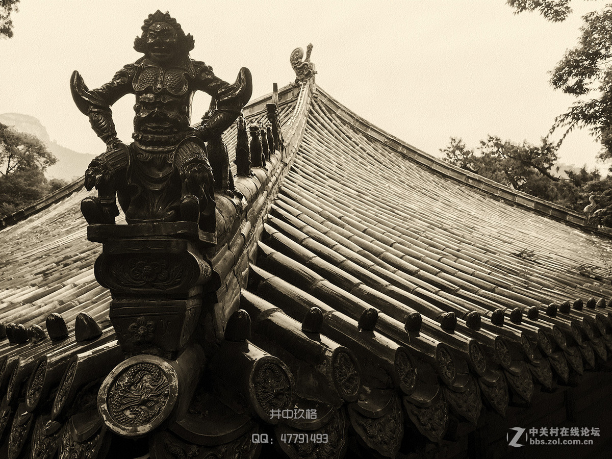 杂片一组（手机拍摄 ）
