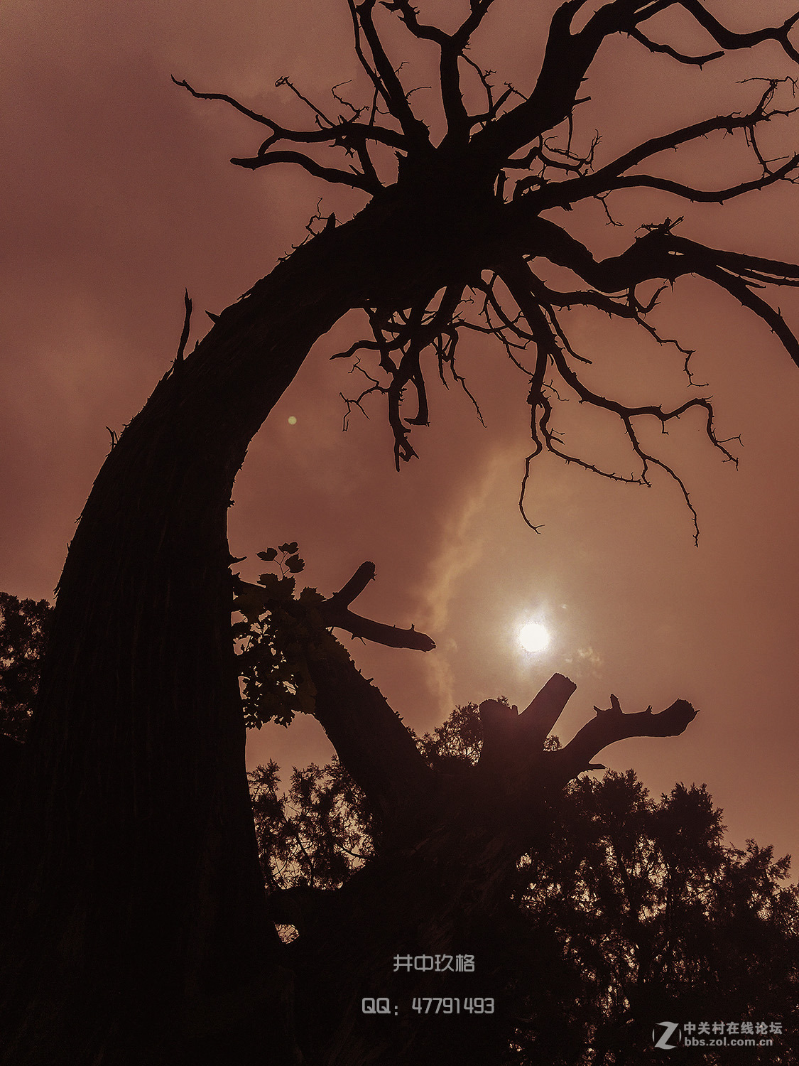 杂片一组（手机拍摄 ）