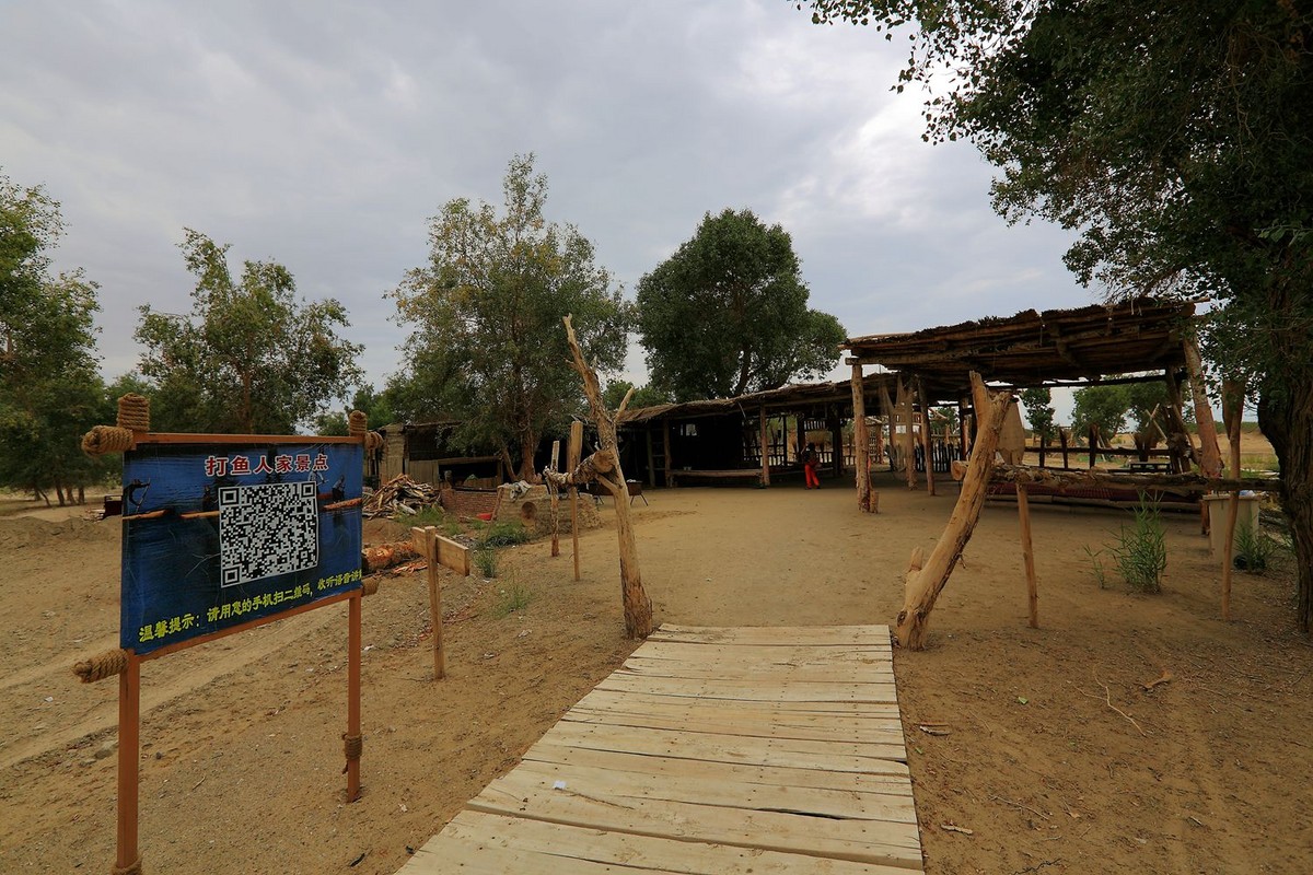 * * 塔 里 木 河 * 生 命 之 河 * 母 亲 之 河 **