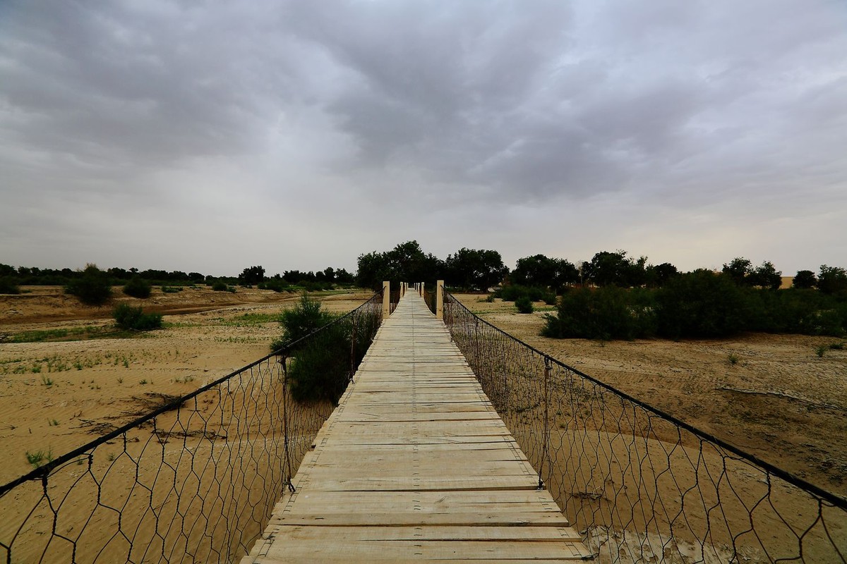 * * 塔 里 木 河 * 生 命 之 河 * 母 亲 之 河 **