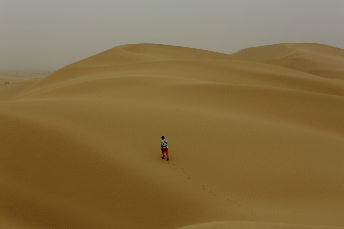 * * 塔 里 木 河 * 生 命 之 河 * 母 亲 之 河 **