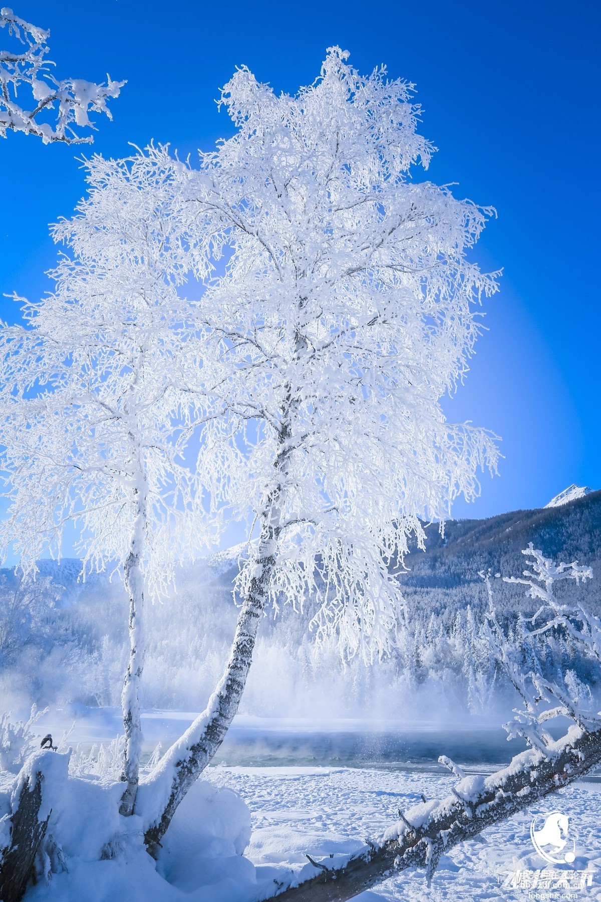 蜂摄天下新疆雪景白雪皑皑中的静寂之美