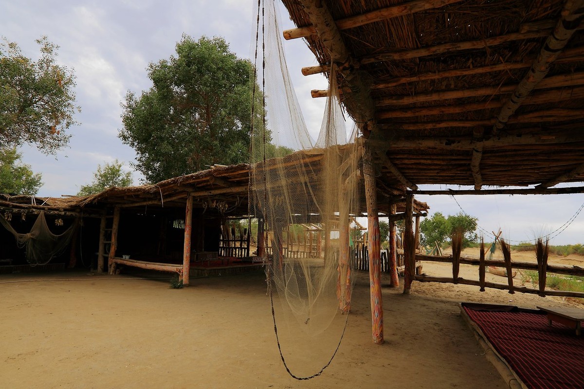 * * 塔 里 木 河 * 生 命 之 河 * 母 亲 之 河 **