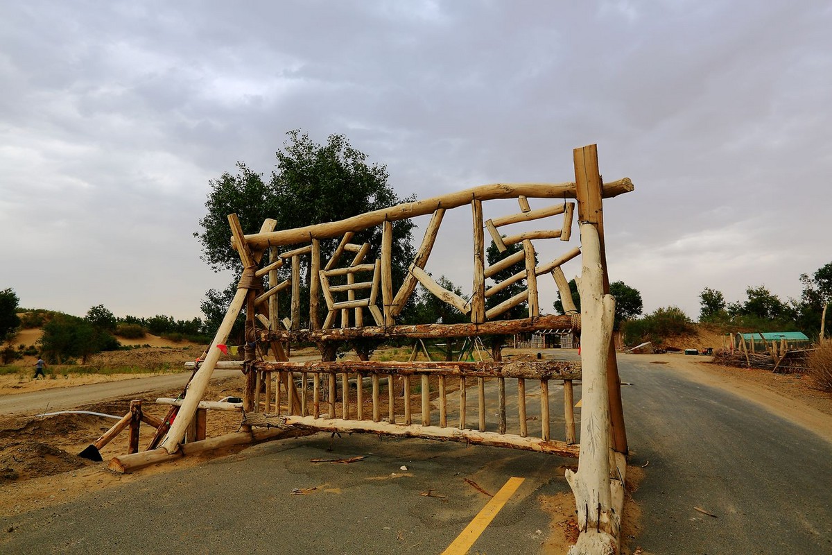 * * 塔 里 木 河 * 生 命 之 河 * 母 亲 之 河 **