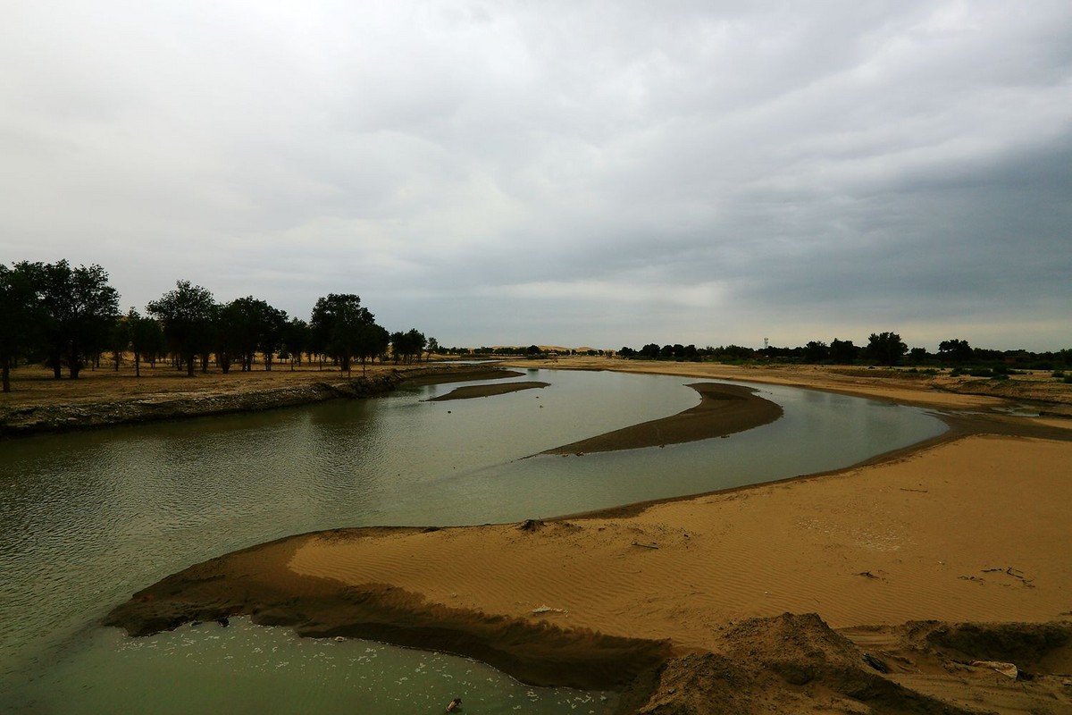 * * 塔 里 木 河 * 生 命 之 河 * 母 亲 之 河 **