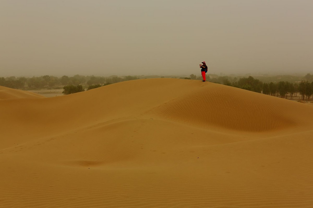 * * 塔 里 木 河 * 生 命 之 河 * 母 亲 之 河 **