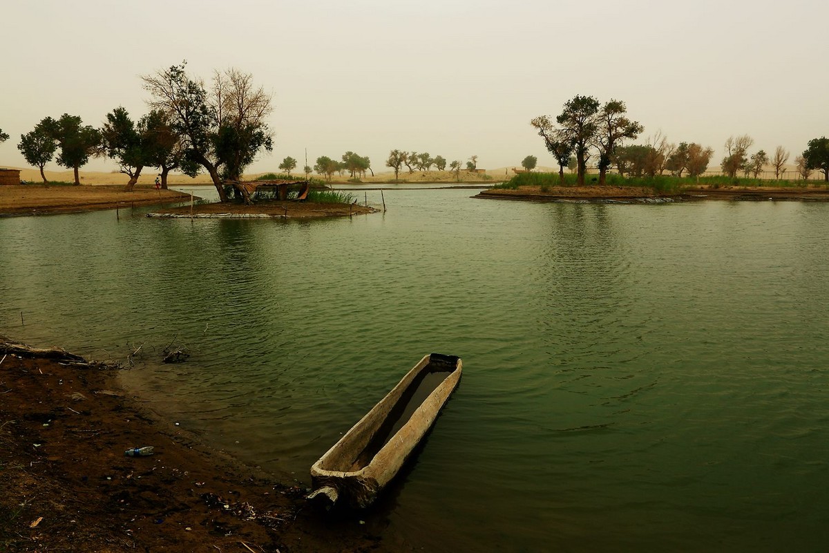 * * 塔 里 木 河 * 生 命 之 河 * 母 亲 之 河 **