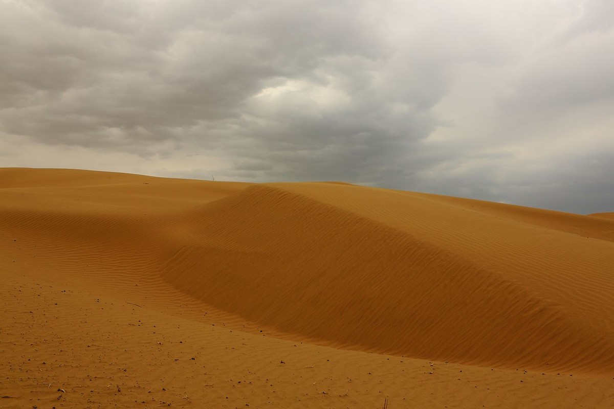 * * 塔 里 木 河 * 生 命 之 河 * 母 亲 之 河 **