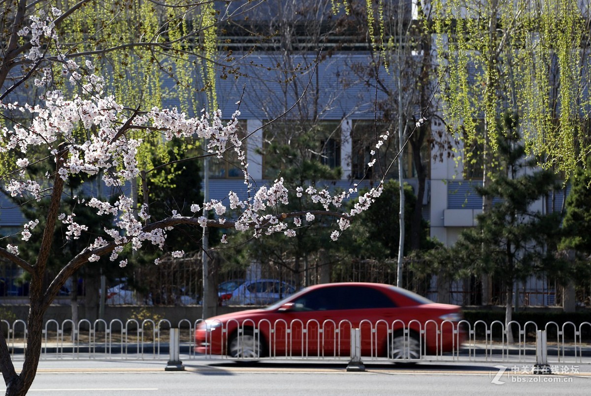 #版主坐堂#2015年4月份《承德》优秀作品选辑