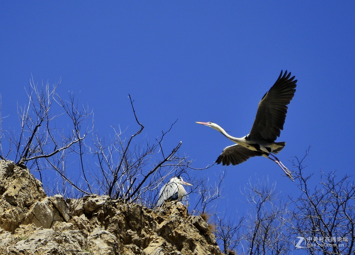 #版主坐堂#2015年4月份《承德》优秀作品选辑