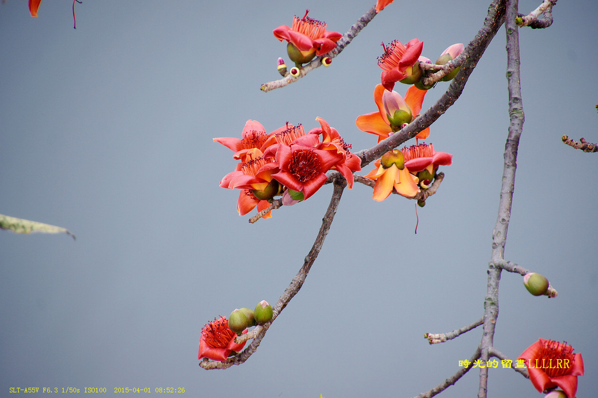 #版主坐堂#2015年4月份《承德》优秀作品选辑