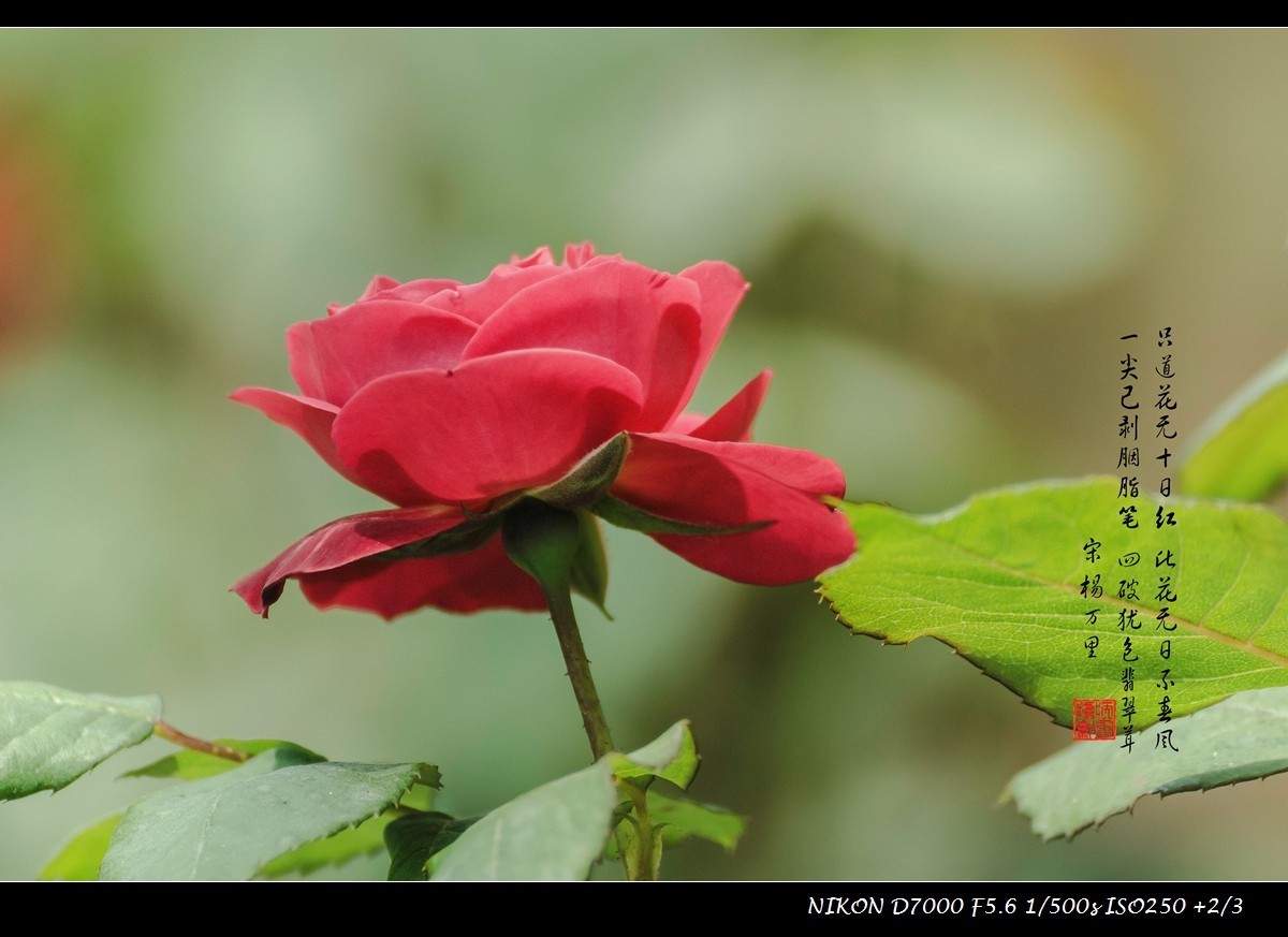 #版主坐堂#2015年4月份《承德》优秀作品选辑