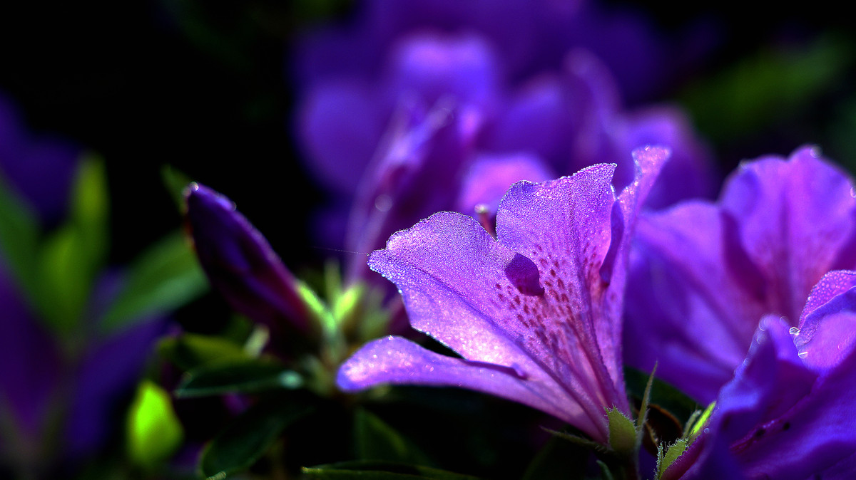 #版主坐堂#2015年4月份《承德》优秀作品选辑