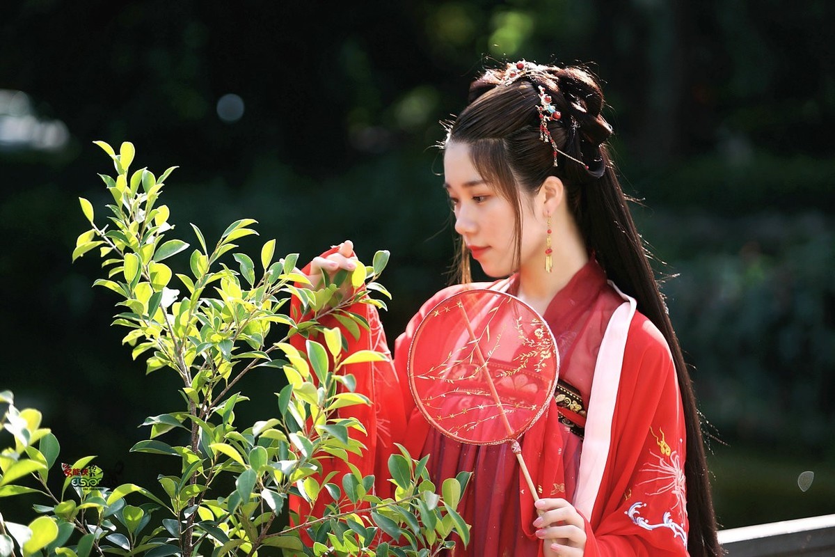 古风红衣少女花花