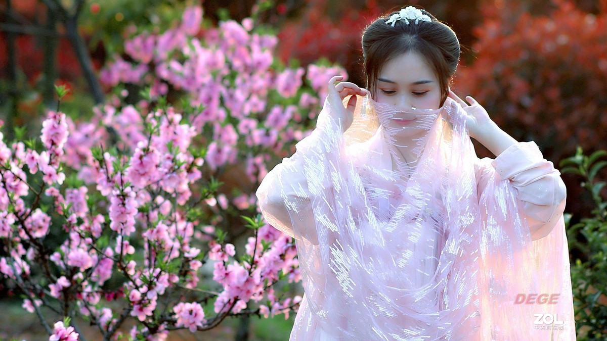 人面桃花相映红