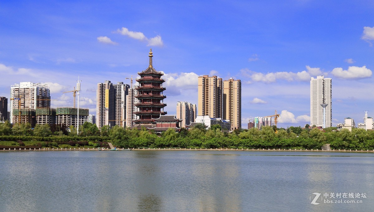 风光照习作