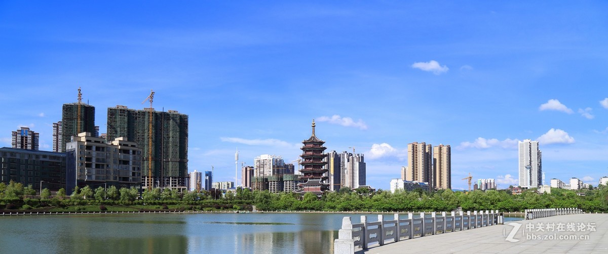 风光照习作