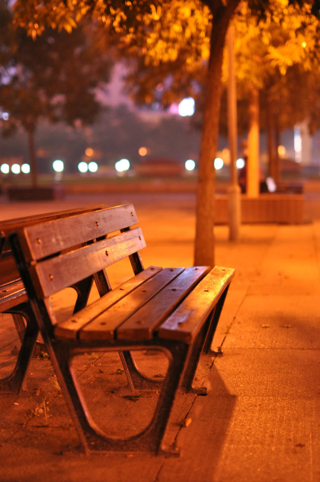 尼康D90 加适马50 1.4