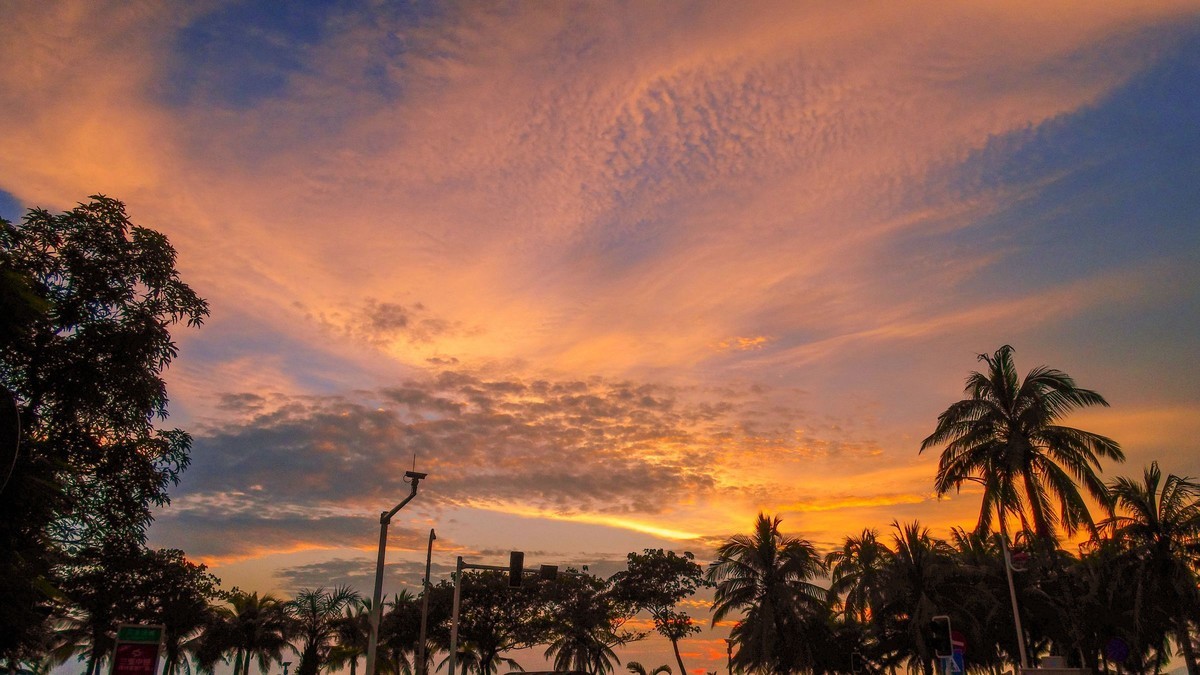 (南国优景)—卡片拍