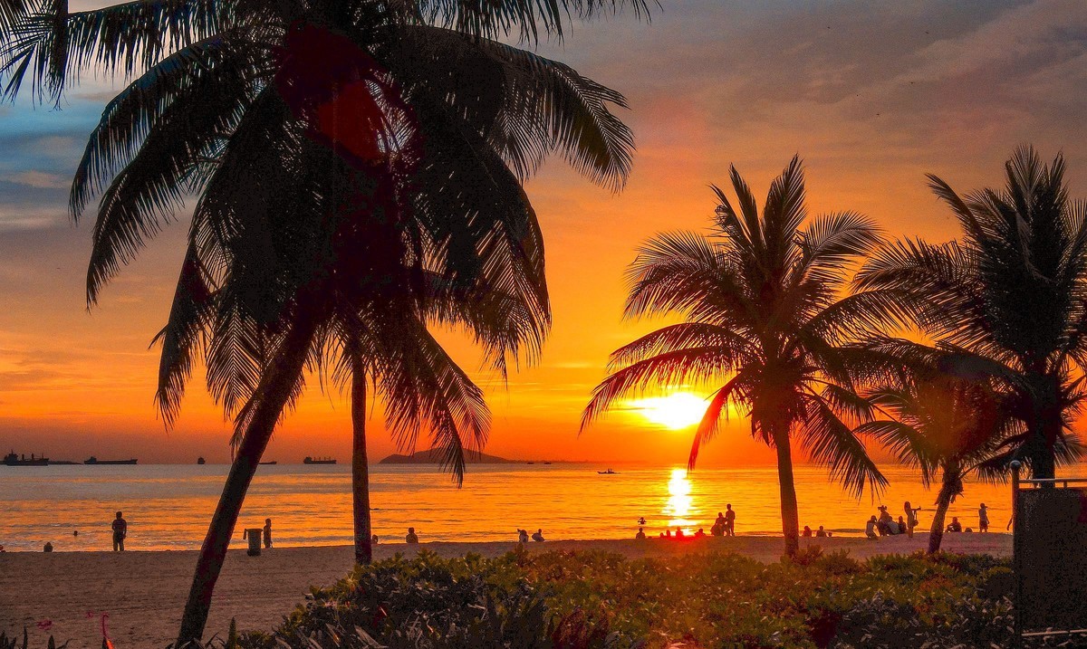 (南国优景)—卡片拍