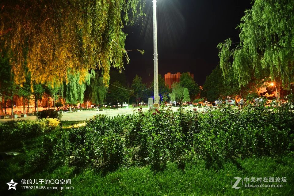 一组公园夜景试镜（尼康20,2.8D定焦镜头）