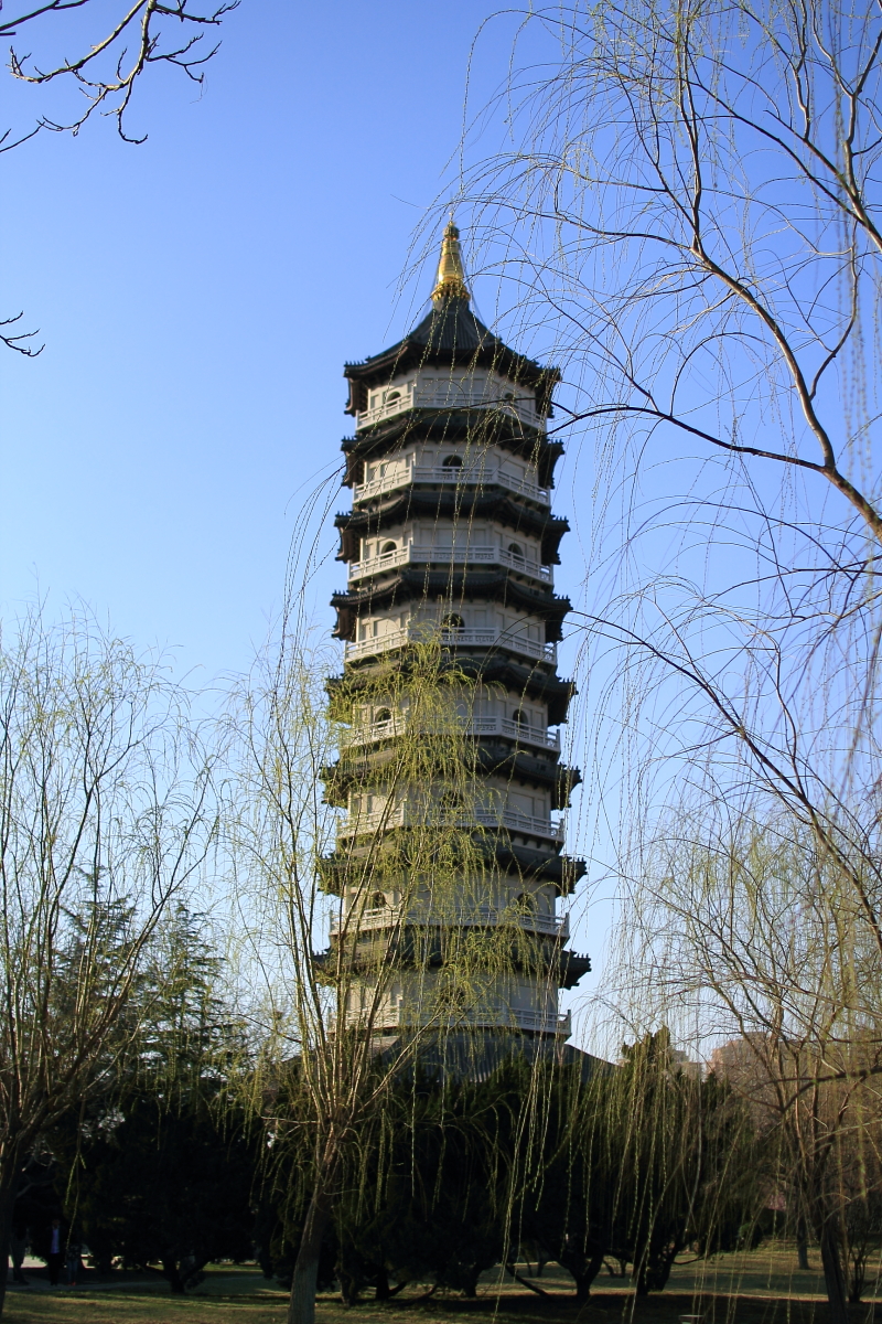 早春拍宁园