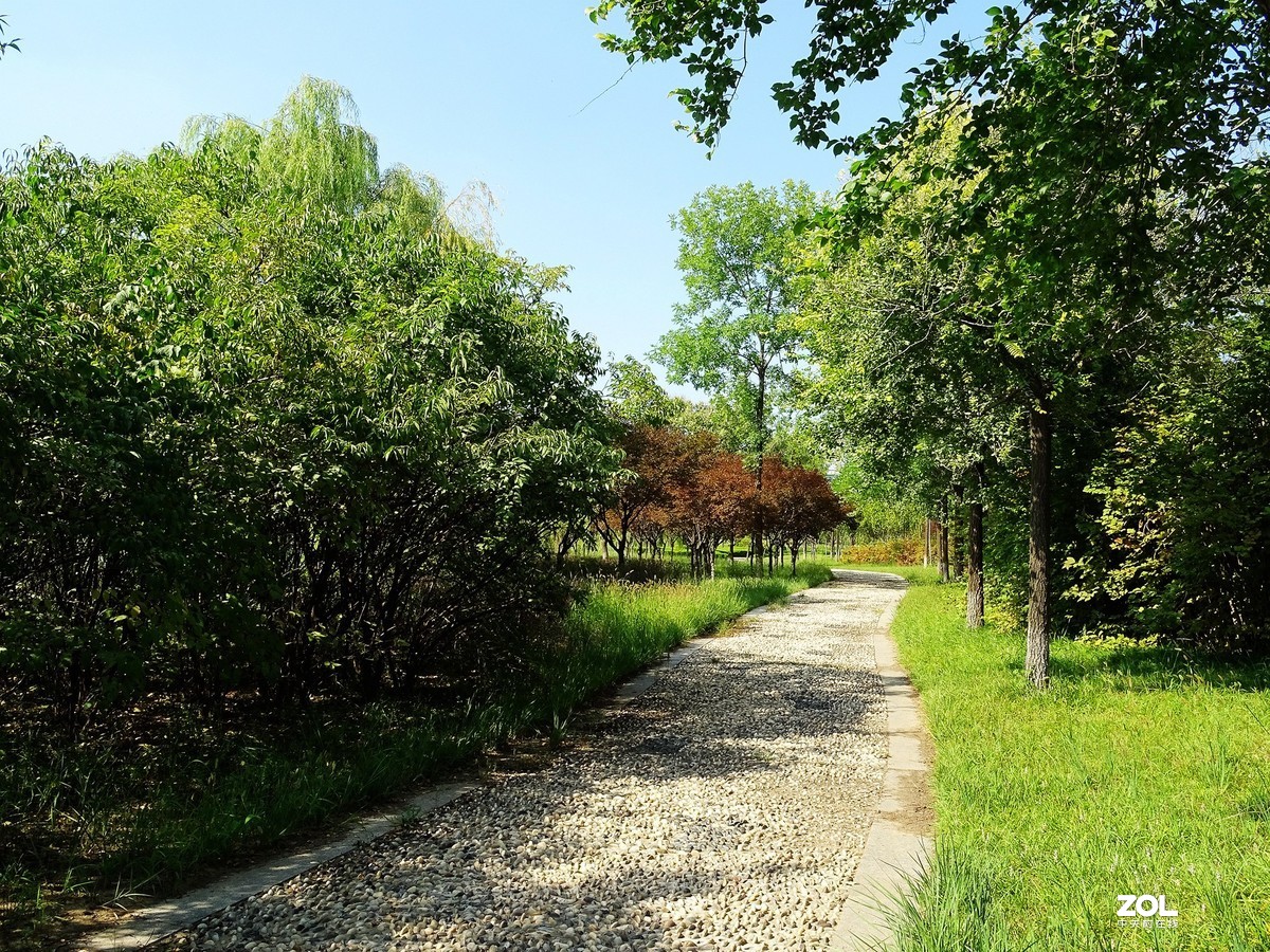 走走拍拍（2019年8月25日-6）