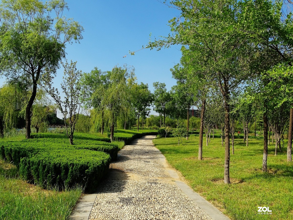 走走拍拍（2019年8月25日-6）