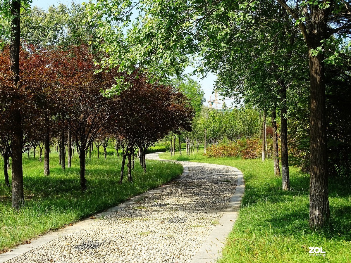 走走拍拍（2019年8月25日-6）