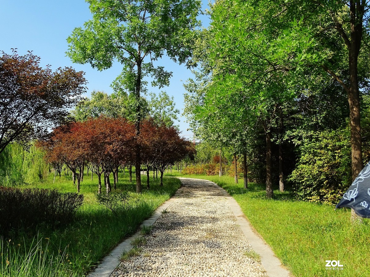 走走拍拍（2019年8月25日-6）