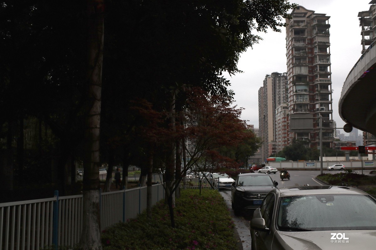 EOS M6  七工匠25mmF1.8，EF50mmF1.8随拍