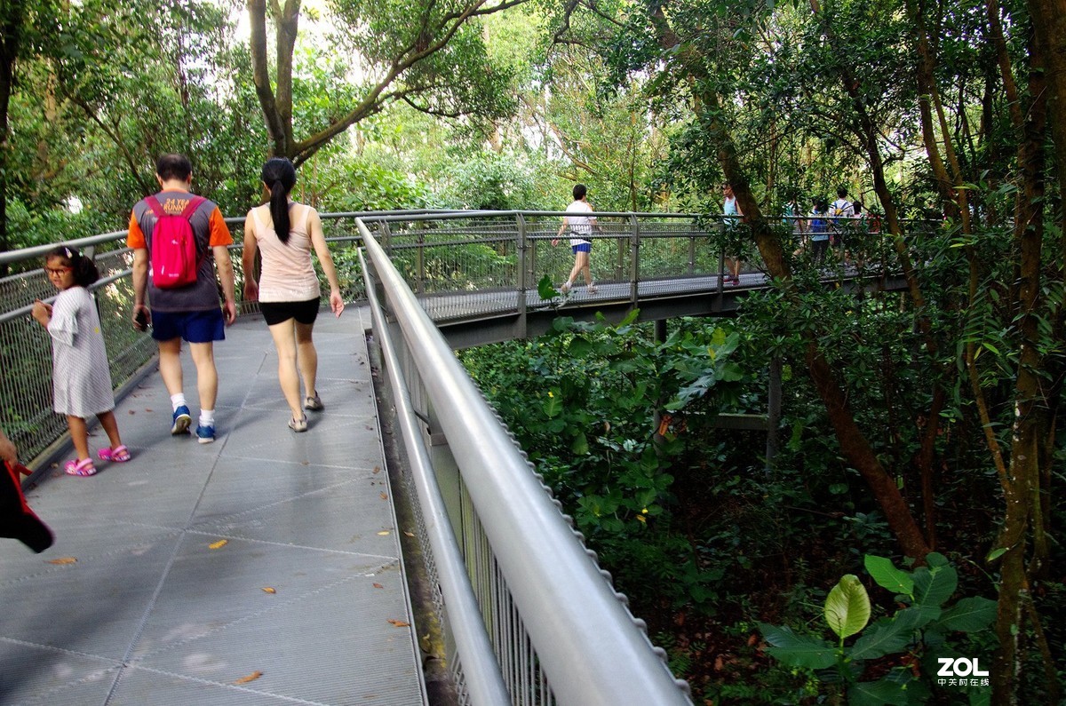 【狮城散记（二十七）】直落布兰雅山麓风光