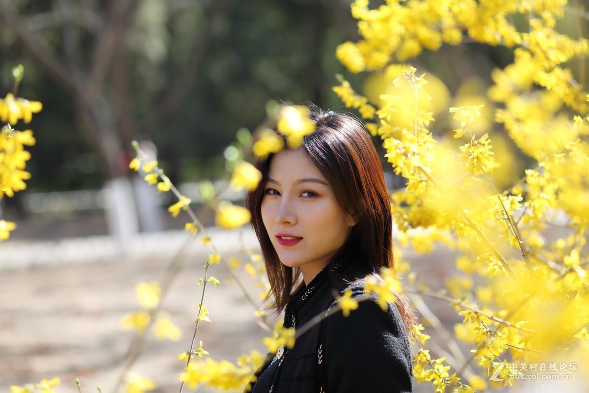 #又是一年春好处# 春光明媚正当时