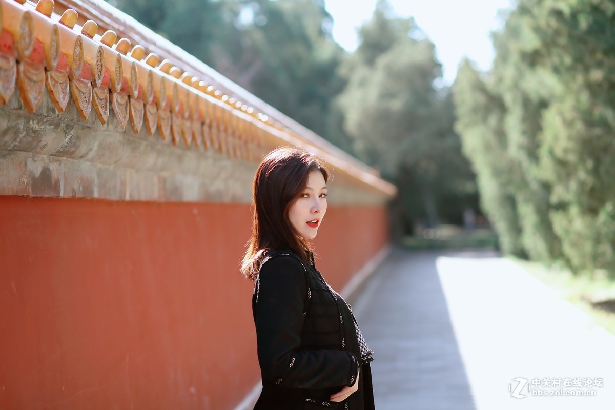 #又是一年春好处# 春光明媚正当时