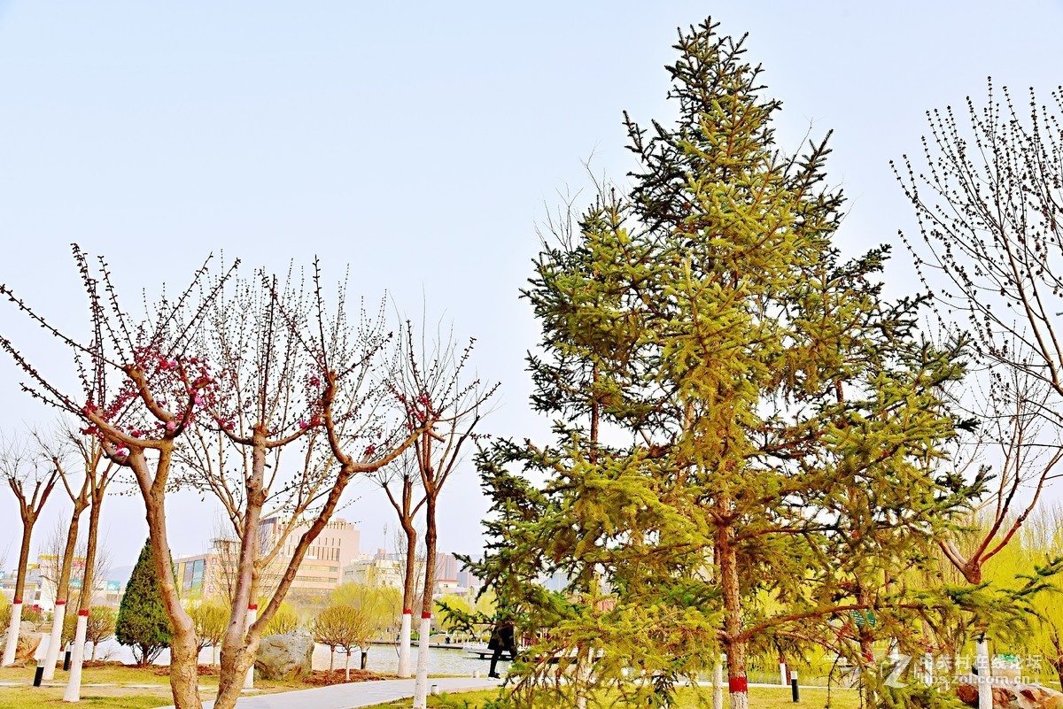 春山可望，草木蔓发，春天就这样悄悄来了。