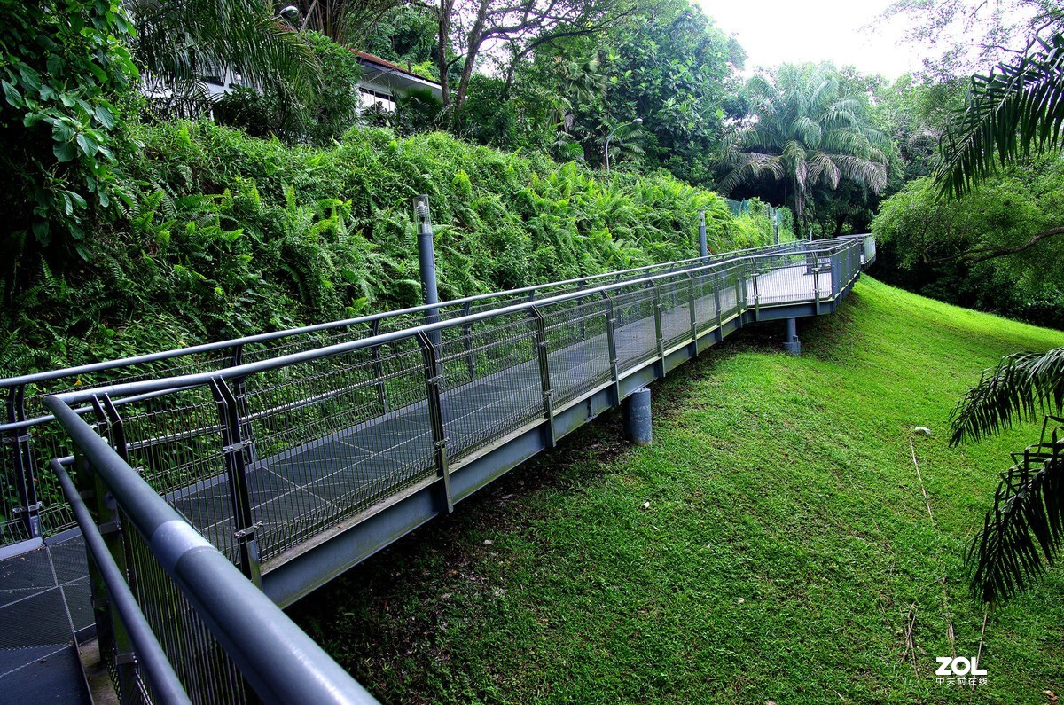 【狮城散记（二十七）】直落布兰雅山麓风光