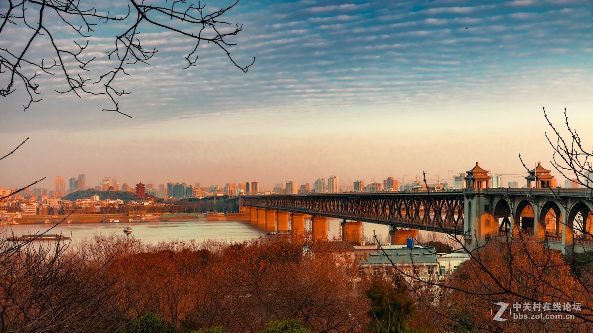 黃鶴樓和武漢長江大橋