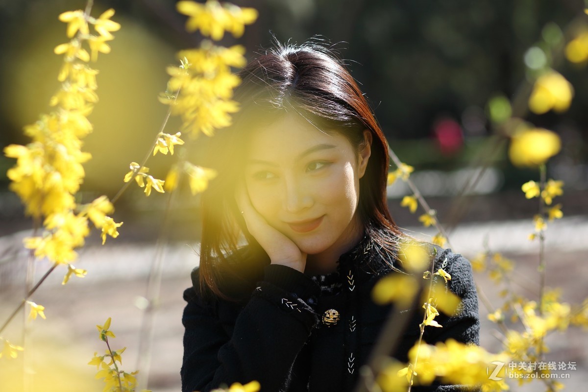 #又是一年春好处# 春光明媚正当时