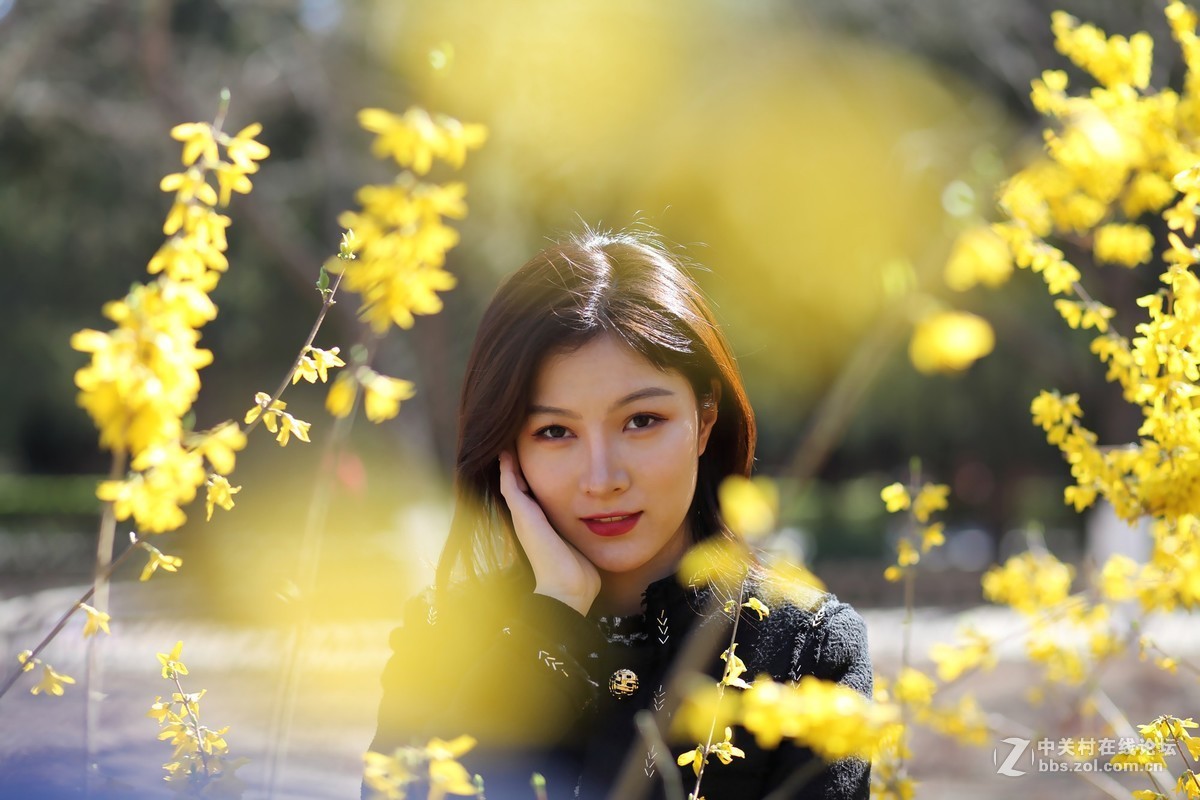 #又是一年春好处# 春光明媚正当时