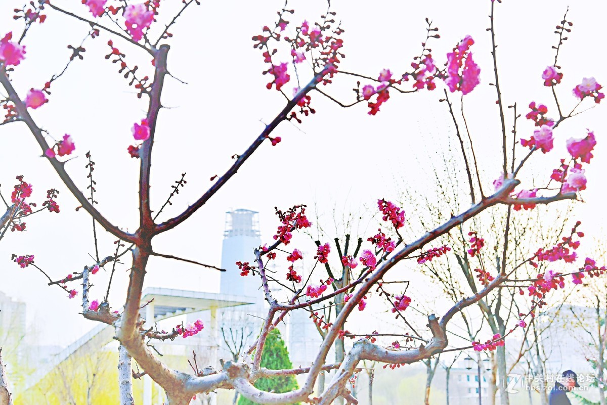 春山可望，草木蔓发，春天就这样悄悄来了。