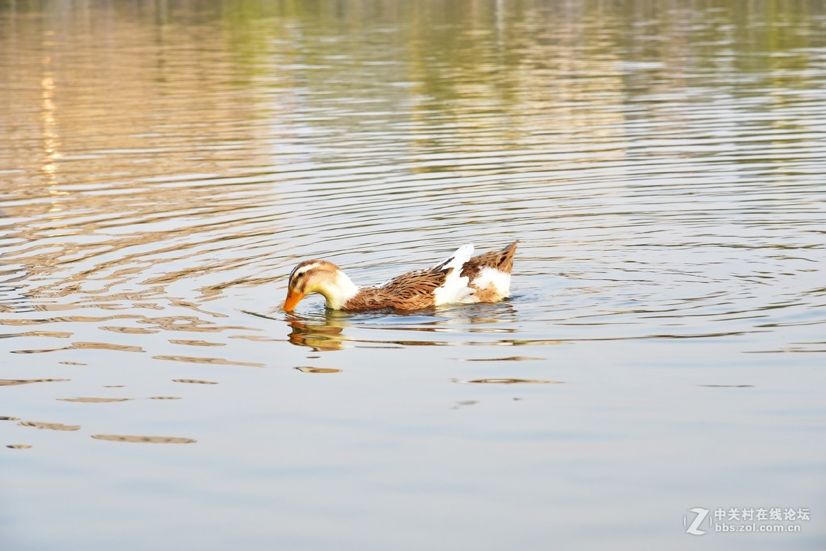 春山可望，草木蔓发，春天就这样悄悄来了。