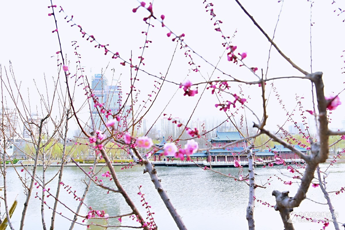 春山可望，草木蔓发，春天就这样悄悄来了。