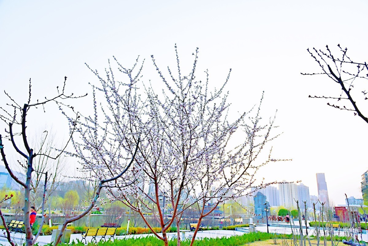 春山可望，草木蔓发，春天就这样悄悄来了。