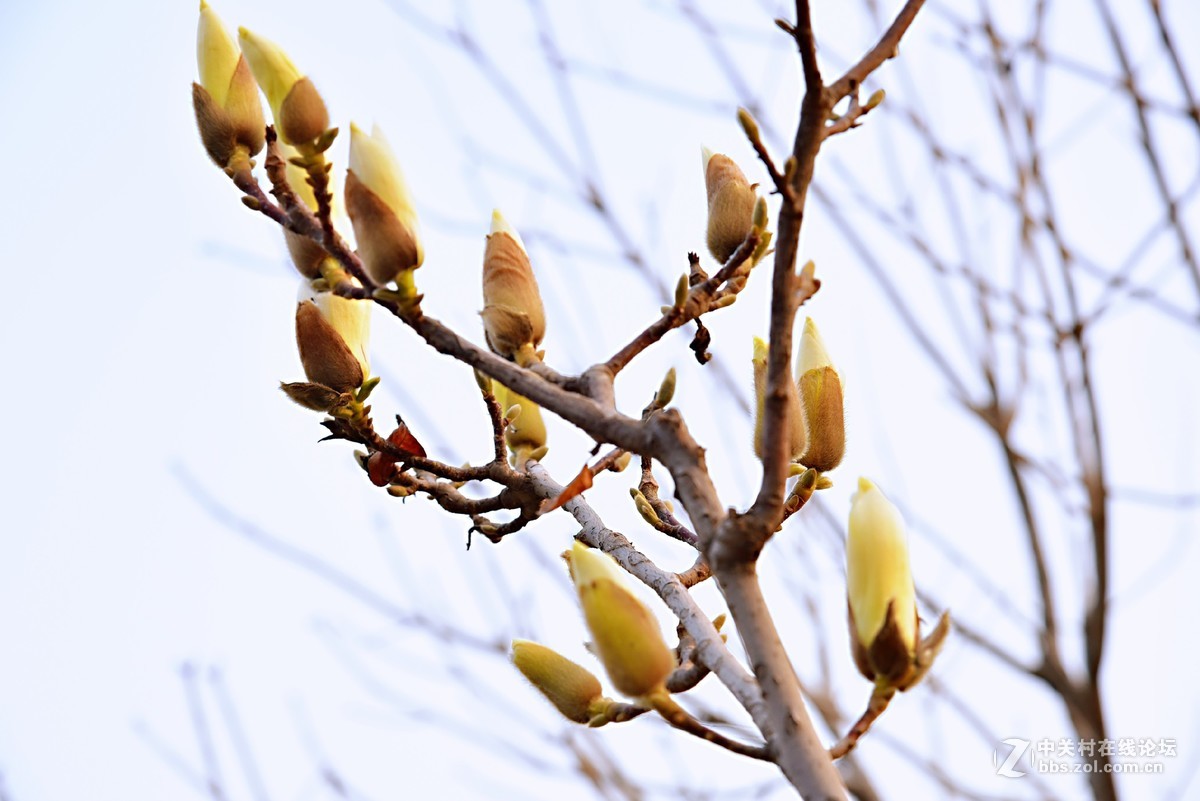 春山可望，草木蔓发，春天就这样悄悄来了。