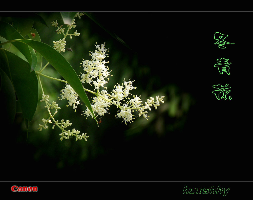 向沉船遇难者致哀，愿生者康复，灾难不再！