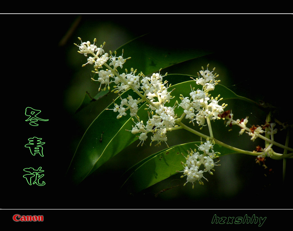 向沉船遇难者致哀，愿生者康复，灾难不再！