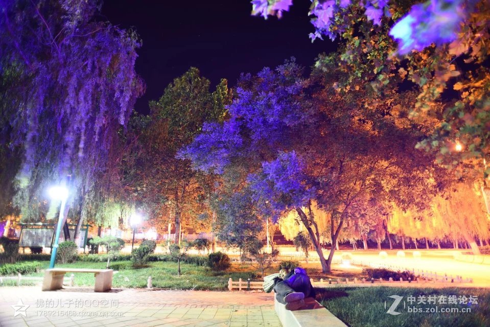 一组公园夜景试镜（尼康20,2.8D定焦镜头）