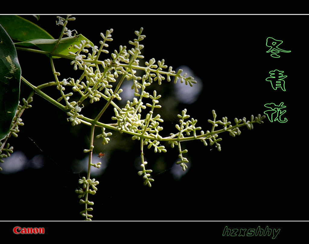 向沉船遇难者致哀，愿生者康复，灾难不再！